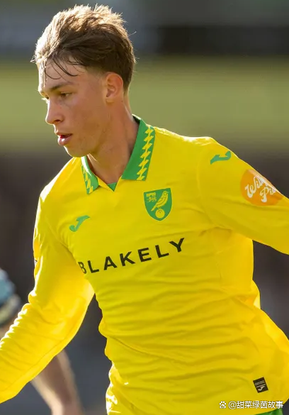 开云APP-关于莱斯特城主场击败诺维奇，继续稳固前四位置的信息